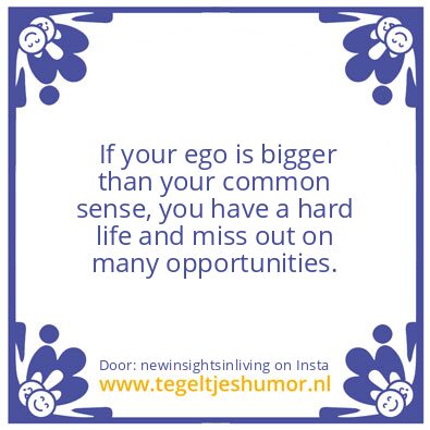 Tegeltje: ego vs brain