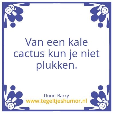 Tegeltje: De Cactus