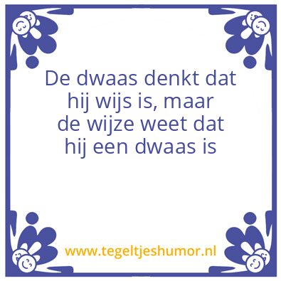Tegeltje: dwaas
