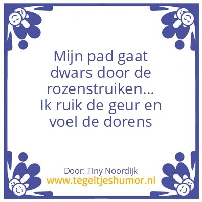 Tegeltje: voor- en tegespoed