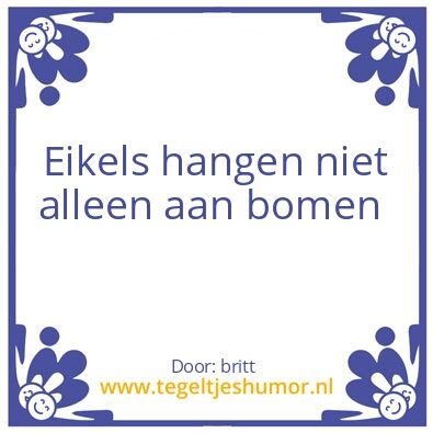 Tegeltje: hoii