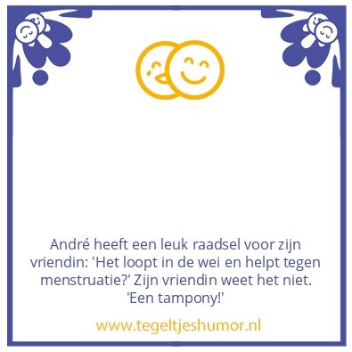 Tegeltje: Een leuk raadsel