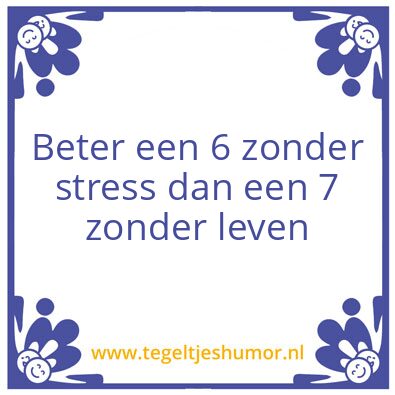 Tegeltje: rapport