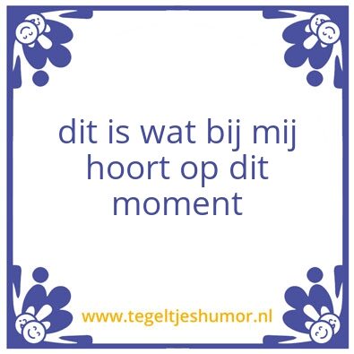 Tegeltje: Tinnitushinder