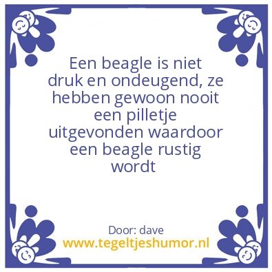 Tegeltje: beagle