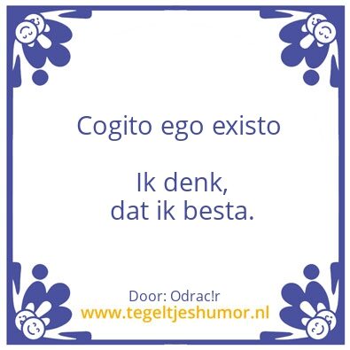 Tegeltje: Cogito ego existo