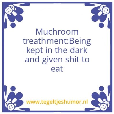 Tegeltje: Muchroom treathment