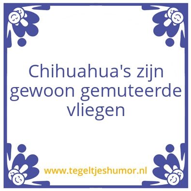 Tegeltje: Waarheid