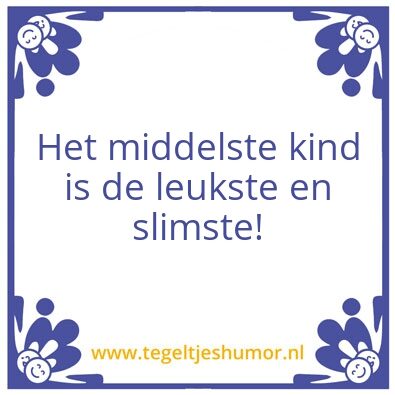 Tegeltje: Slimsye