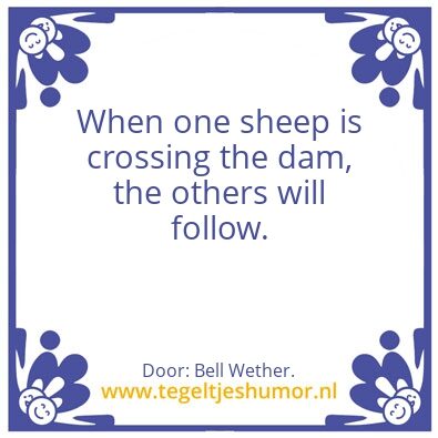 Tegeltje: Als Ã©Ã©n schaap â€¦