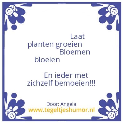 Tegeltje: Spreuk van de dag!