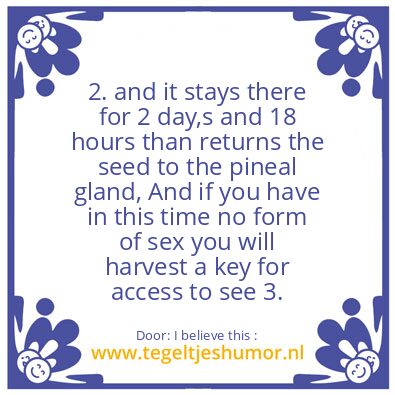 Tegeltje: The Seed of the Pineal Gland