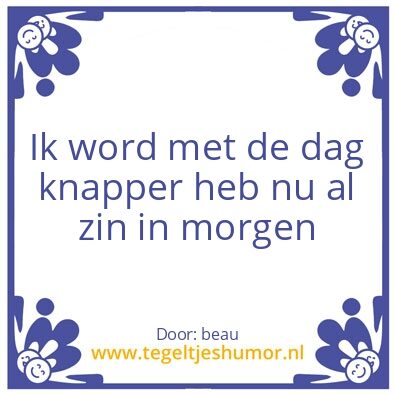 Tegeltje: knap