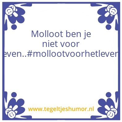 Tegeltje: Moltalk