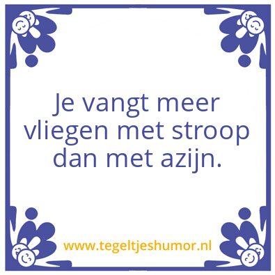 Tegeltje: Vliegen