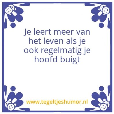 Tegeltje: Wibe
