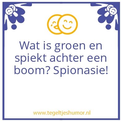Tegeltje: Spionasie