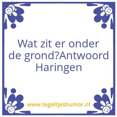 Tegeltje: Categorie: Domme Antwoorden