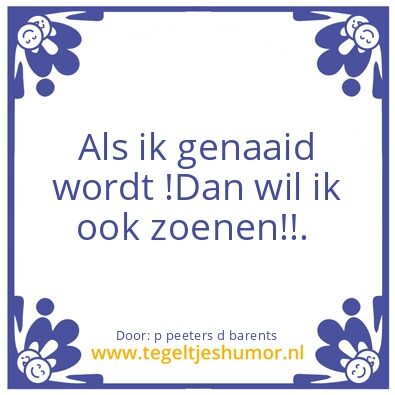 Tegeltje: de feit
