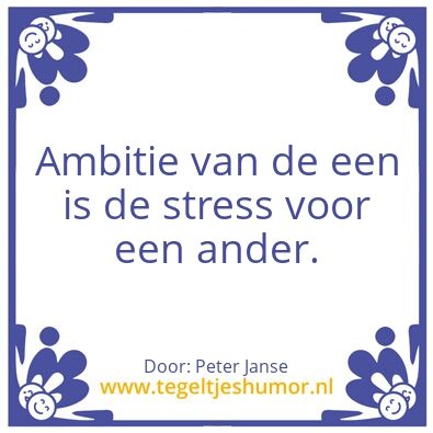 Tegeltje: Ambitie