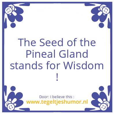 Tegeltje: The Seed of the Pineal Gland