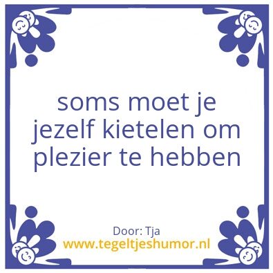 Tegeltje: Plezier