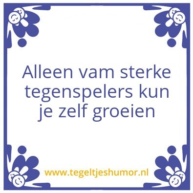 Tegeltje: Wijsheid