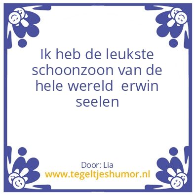 Tegeltje: Erwin seelen