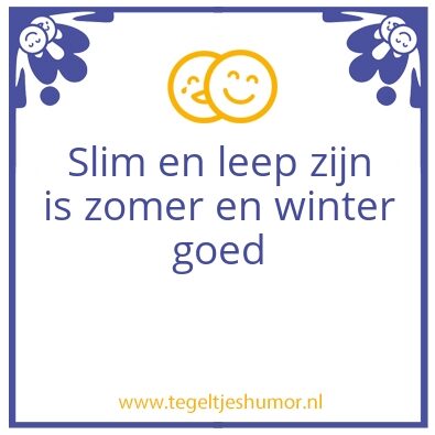 Tegeltje: Slim