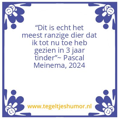 Tegeltje: Vieze whalloe