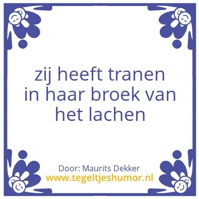 Tegeltje: het regent niet