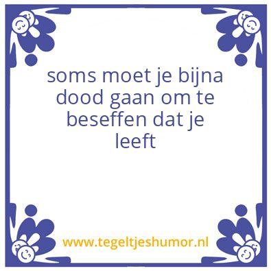 Tegeltje: Wijsheid