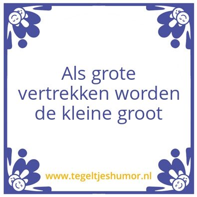 Tegeltje: groot