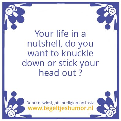 Tegeltje: Your life in a nutshell !