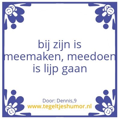 Tegeltje: Raven