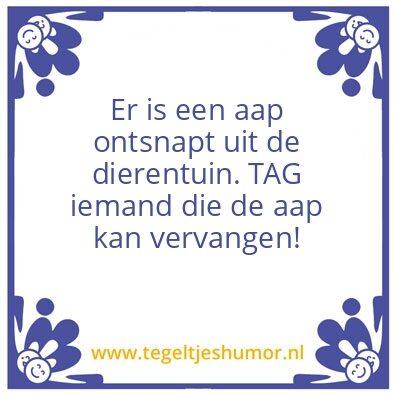 Tegeltje: Aap