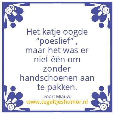 Tegeltje: Geen katje â€¦..