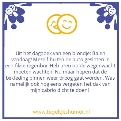 Tegeltje: Dagboek van een blondje