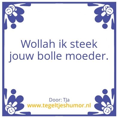 Tegeltje: Wollah ik steek jouw bolle moe