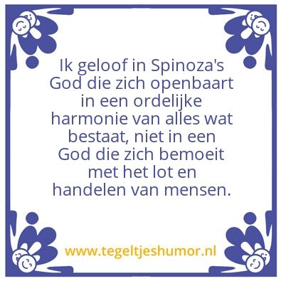 Tegeltje: Alberrt einstein: