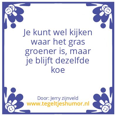 Tegeltje: koe