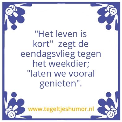 Tegeltje: Tijd die snel gaat