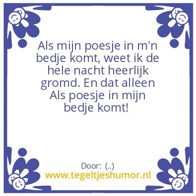 Tegeltje: Lief poesje