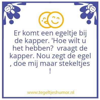 Tegeltje: Een egeltje