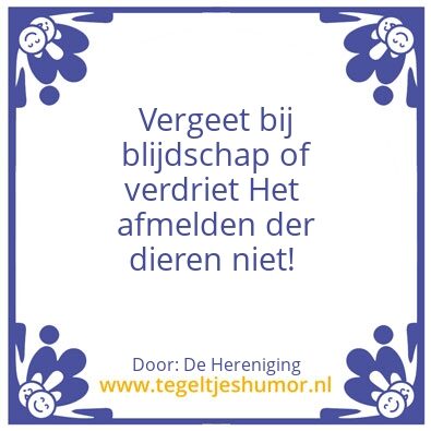 Tegeltje: Uw vermiste dier is gevonden!