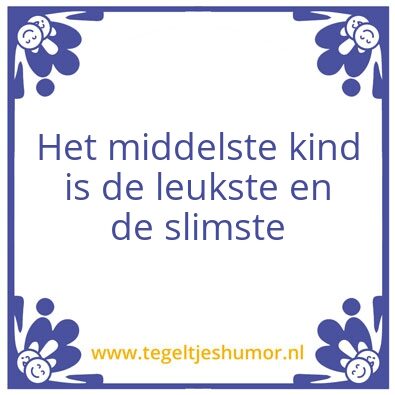 Tegeltje: Broer zussen