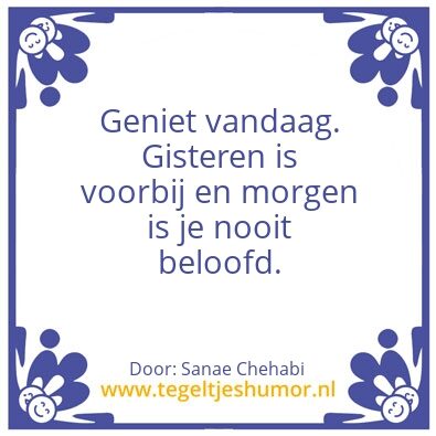 Tegeltje: Sanae El FÃ©sia