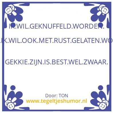 Tegeltje: “WIJSHEID”