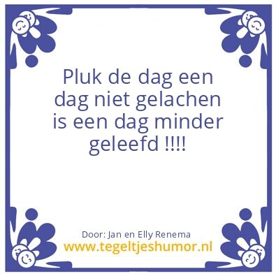 Tegeltje: pluk de dag