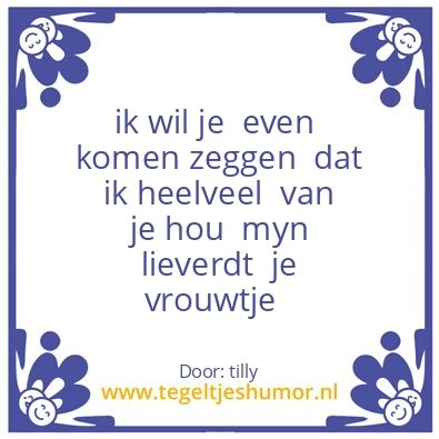 Tegeltje: voor myn schat